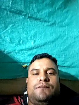 gomelo 19cm online show from 02/24/26, 05:33