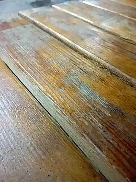 Snapshot of mert0359 chatting on 02/16/26, 01:57 mert0359 online show from 02/16/26, 01:57