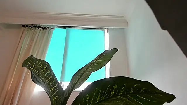 canelleGarces online show from 02/10/26, 06:01