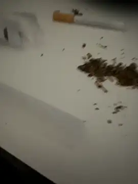 evawx9 online show from 03/19/26, 06:12