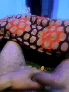 pppppp7811 online show from 02/14/26, 05:43