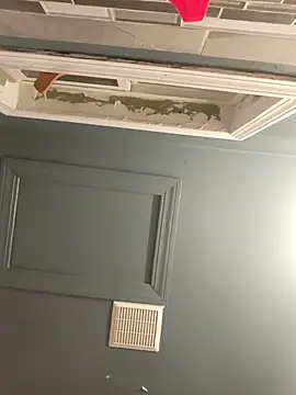 chocolate bella online show from 11/20/25, 04:56