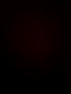 chocolate bella online show from 01/13/26, 07:35