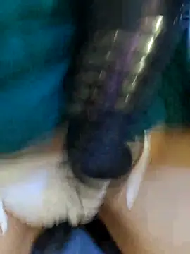 Bee sweet online show from 02/22/26, 09:41