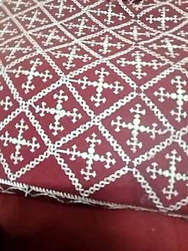 Monika Telugu Girl online show from 01/13/26, 01:16