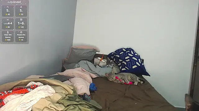 brisazanes online show from 11/13/25, 03:27