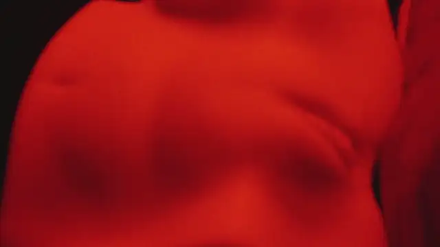 Snapshot of JrSinsx chatting on 10/29/25, 11:17 JrSinsx online show from 10/29/25, 11:17