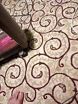 bullut06 online show from 04/08/26, 05:46