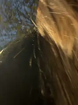 -juicy  online show from 02/17/26, 11:22