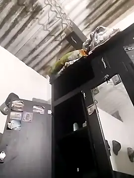 amelie sex online show from 03/05/26, 04:14