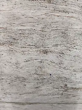 hot plak online show from 11/20/25, 05:12