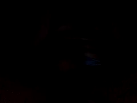 CaiBull online show from 10/26/25, 08:48