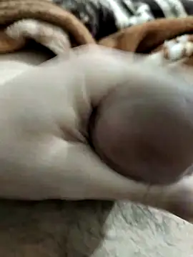 Zepe 12 online show from 03/01/26, 10:12