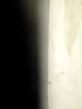 Sonalihot  online show from 03/01/26, 01:46