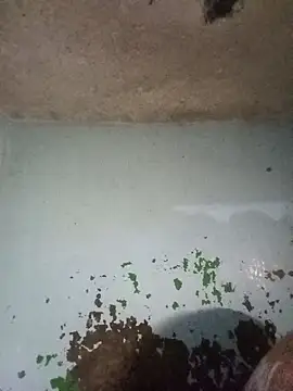 RandalHot online show from 01/14/26, 04:18