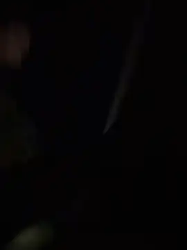 Daliz online show from 06/19/26, 03:11