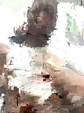 Snapshot of MichellePose chatting on 11/19/25, 01:05 MichellePose online show from 11/19/25, 01:05