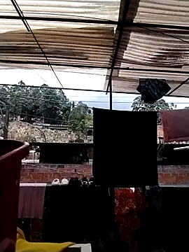 solpeich online show from 04/04/26, 05:32