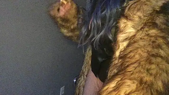 Stevey5894 online show from 11/30/25, 05:28