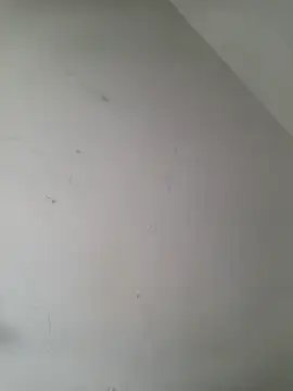 iamlalamilano online show from 03/29/26, 03:01