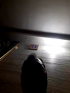 Hot-boy077 online show from 02/04/26, 04:13