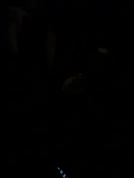 HorneyCowboy154 online show from 02/25/26, 04:11