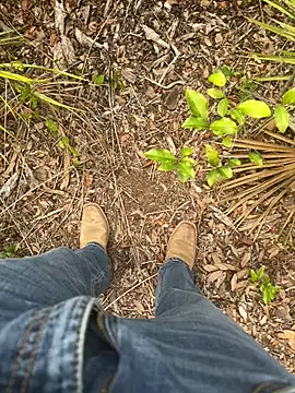 HorneyCowboy154 online show from 04/19/26, 08:11