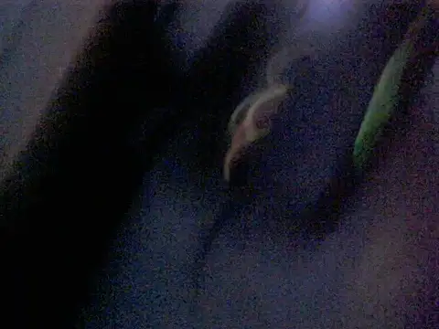 Dotadobelempa online show from 01/16/26, 04:38