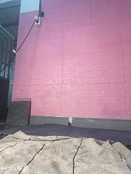 Rose 194 online show from 02/24/26, 03:59