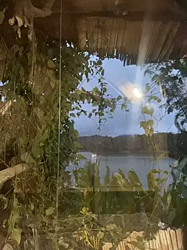 Just Isaa online show from 01/31/26, 11:14