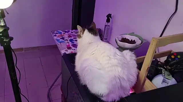 Lovers cave online show from 12/19/25, 02:07