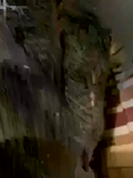 Snapshot of anhye8 chatting on 02/08/26, 03:37 anhye8 online show from 02/08/26, 03:37