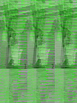 TAMIL ELAKKIYA online show from 11/15/25, 11:40