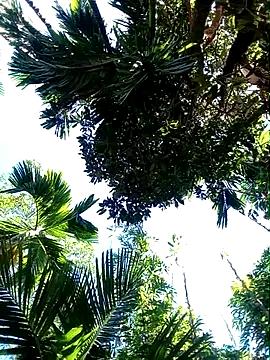 Snapshot of Johlrd chatting on 11/19/25, 05:18 Johlrd online show from 11/19/25, 05:18