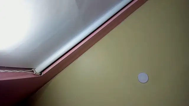 StarletTays online show from 11/28/25, 09:50