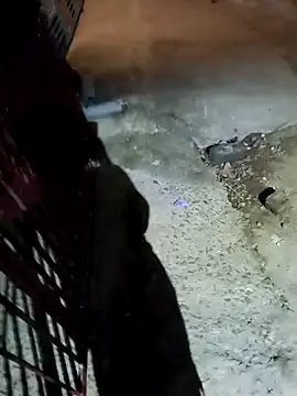 nughtytommy01 online show from 04/10/26, 08:02