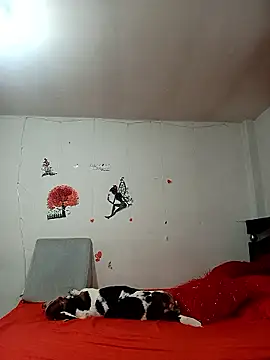 Lady 16 online show from 01/06/26, 01:53