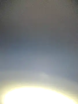 Yamamoto-Sado online show from 11/12/25, 09:03