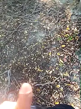 pegaso369 online show from 10/15/25, 02:28