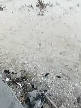 pegaso369 online show from 10/29/25, 03:36