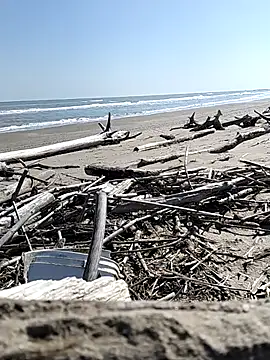 pegaso369 online show from 03/28/26, 11:10