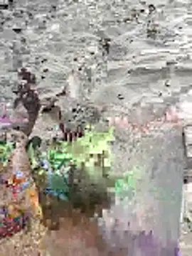 pegaso369 online show from 06/16/26, 02:52