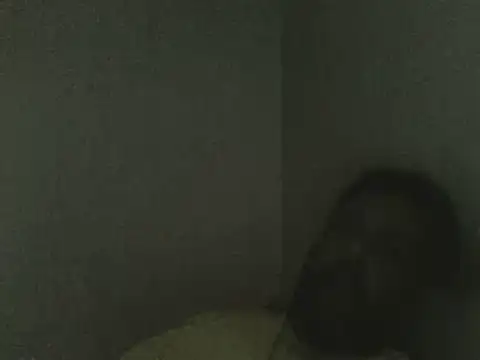 elpoop7305 online show from 07/09/26, 04:27