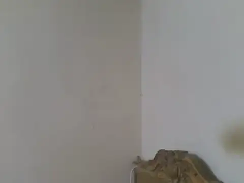 elpoop7305 online show from 07/19/26, 04:16