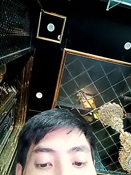 Snapshot of tyteo1010 chatting on 01/11/26, 04:17 tyteo1010 online show from 01/11/26, 04:17