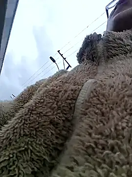 Engeelll online show from 03/18/26, 06:11