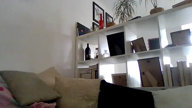 Snapshot of bigcockjohnxxxxx chatting on 11/11/25, 12:49 bigcockjohnxxxxx online show from 11/11/25, 12:49