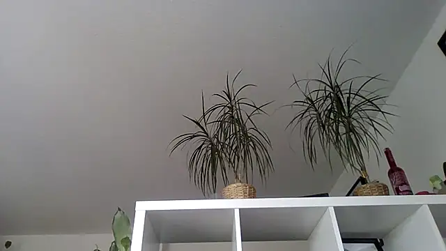 Snapshot of bigcockjohnxxxxx chatting on 11/13/25, 11:20 bigcockjohnxxxxx online show from 11/13/25, 11:20