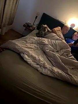 Jaropol online show from 01/12/26, 06:40