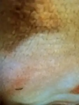 HOT-MUNDA online show from 12/17/25, 01:33